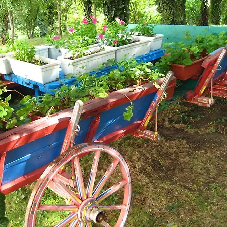 Odessos Park Apartament *